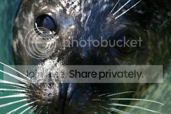 IMG_5264.jpg