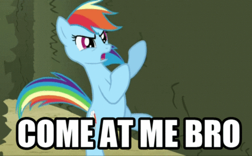 Come-at-me-bro-rainbow-dash-31030597-500-310.gif