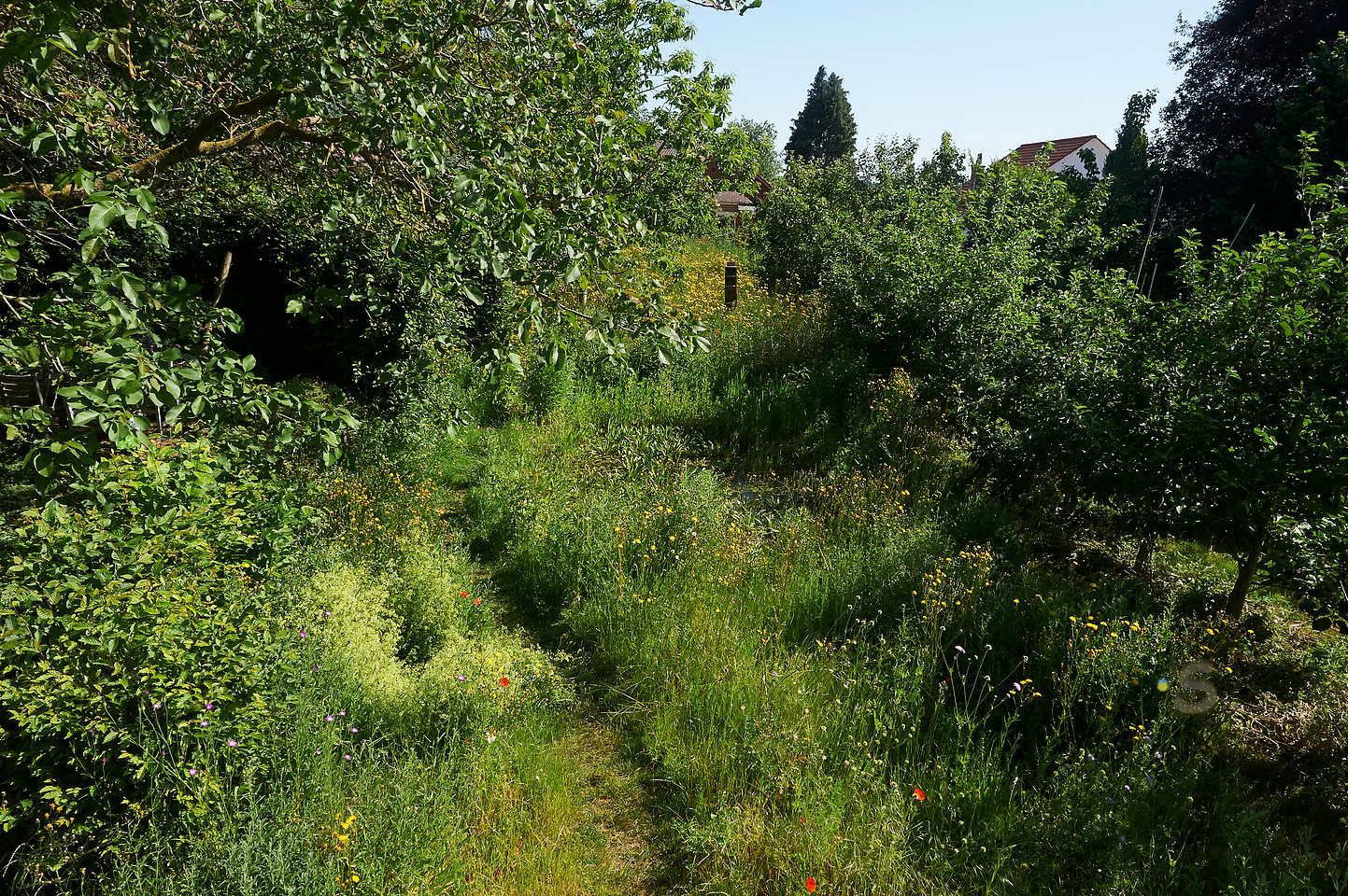 p3904086385-6.jpg