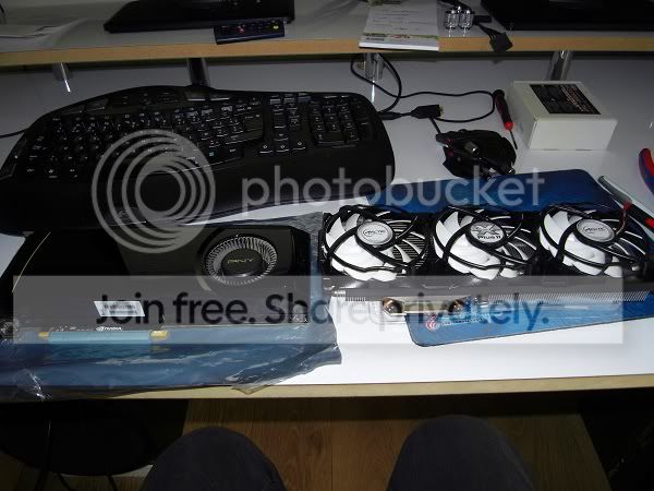 SDC10988.jpg