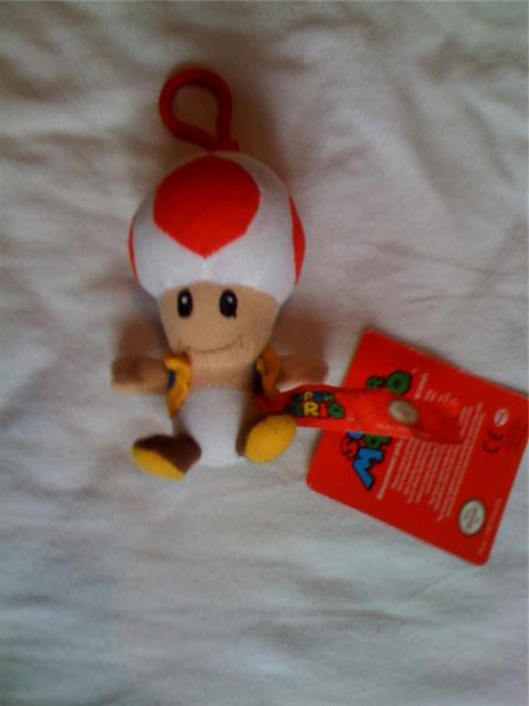 toadcgain.jpg