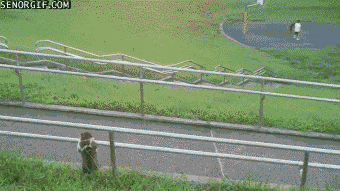 BRPIxD6_7UO1q1z0Psq75w2.gif