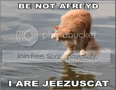 lolcatsdotcom6rfzyrg2hq73u3rt.jpg