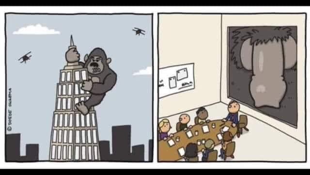 E1NWrllXoAAOAy_.jpg