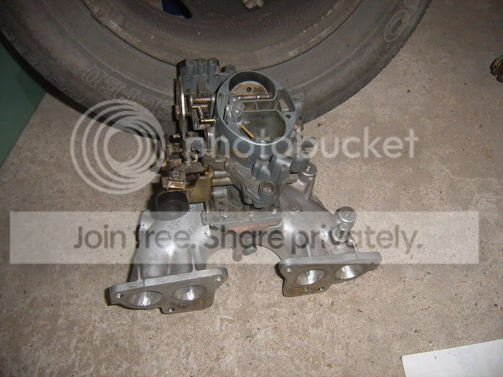 SUC51877.jpg