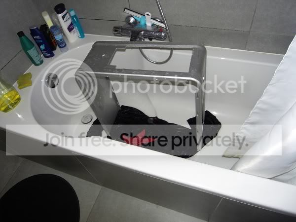 SDC10168.jpg