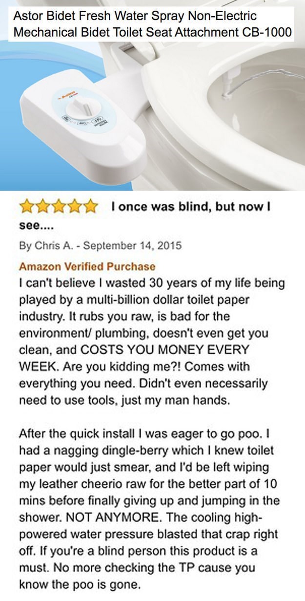 funny-review-for-a-bidet-toilet