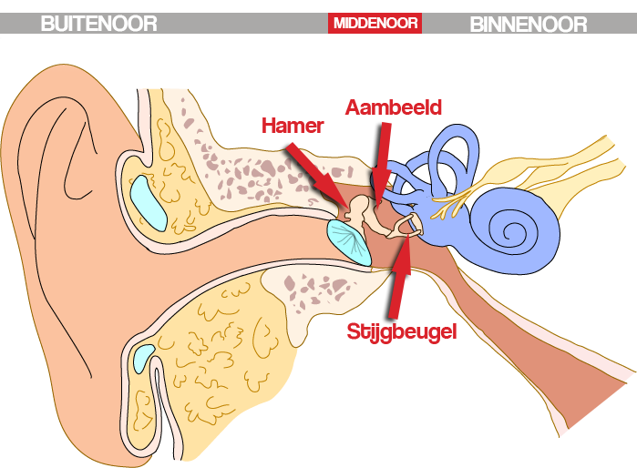 middenoor.png