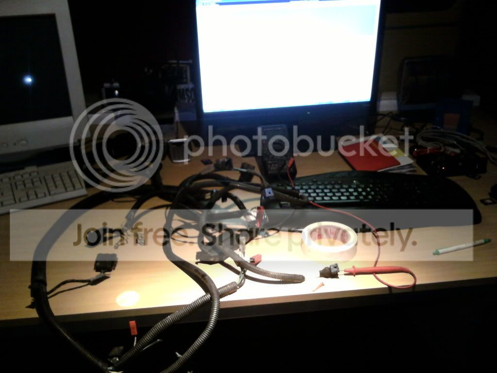 SP_A0255.jpg