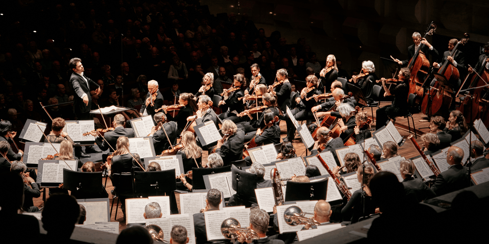 www.rotterdamsphilharmonisch.nl