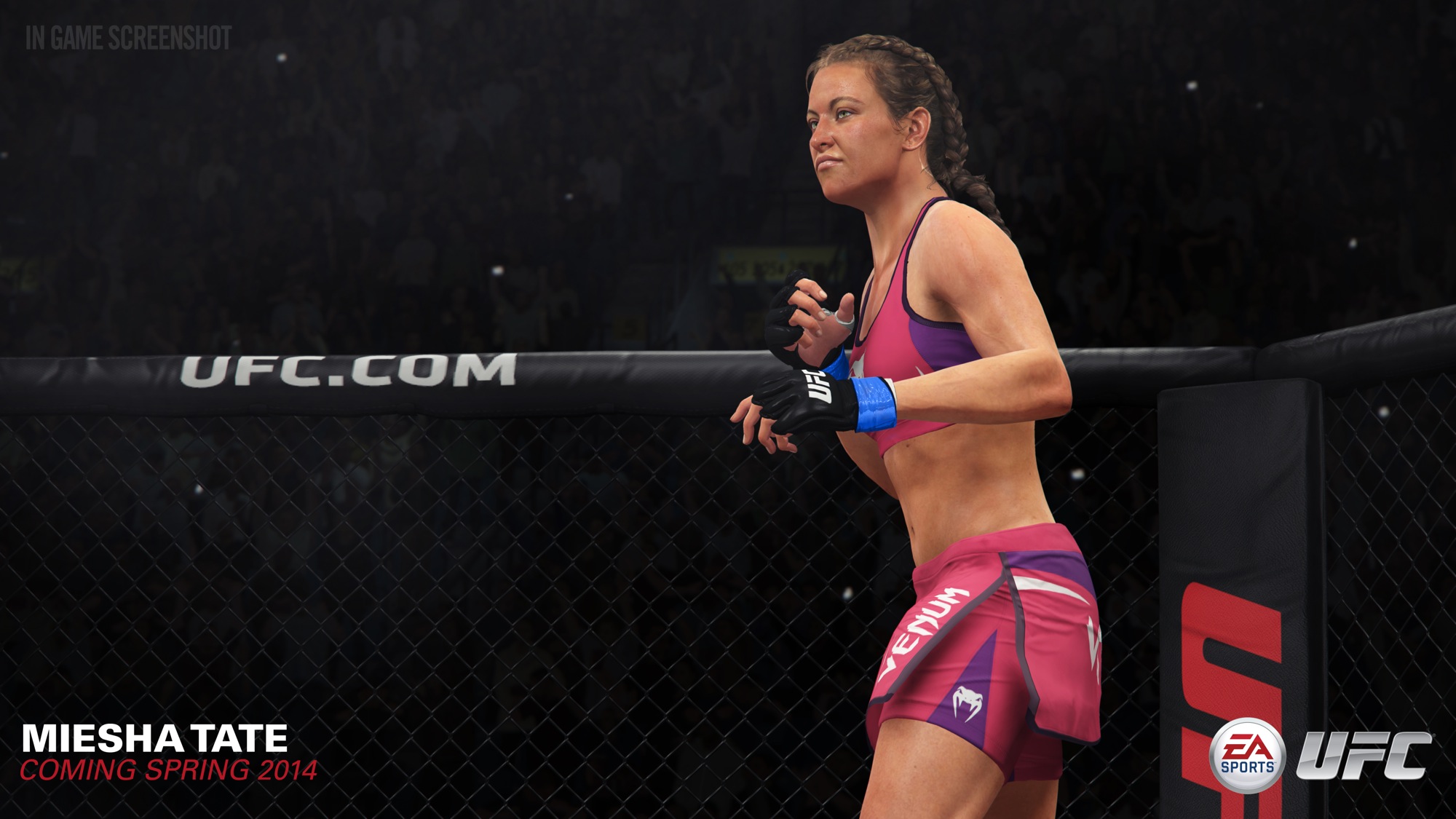 2496902-original_miesha_tate_10.jpg