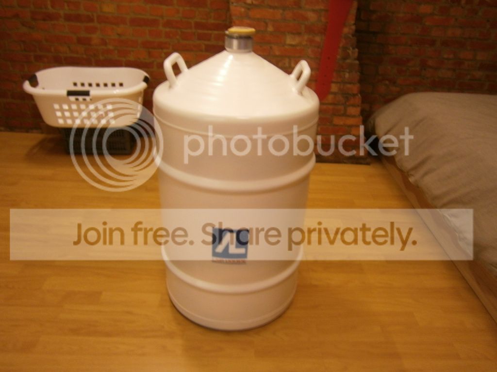 505767.jpg