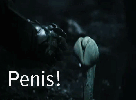 tumblr_m84ipwgS7D1ry8oj1o1_500.gif
