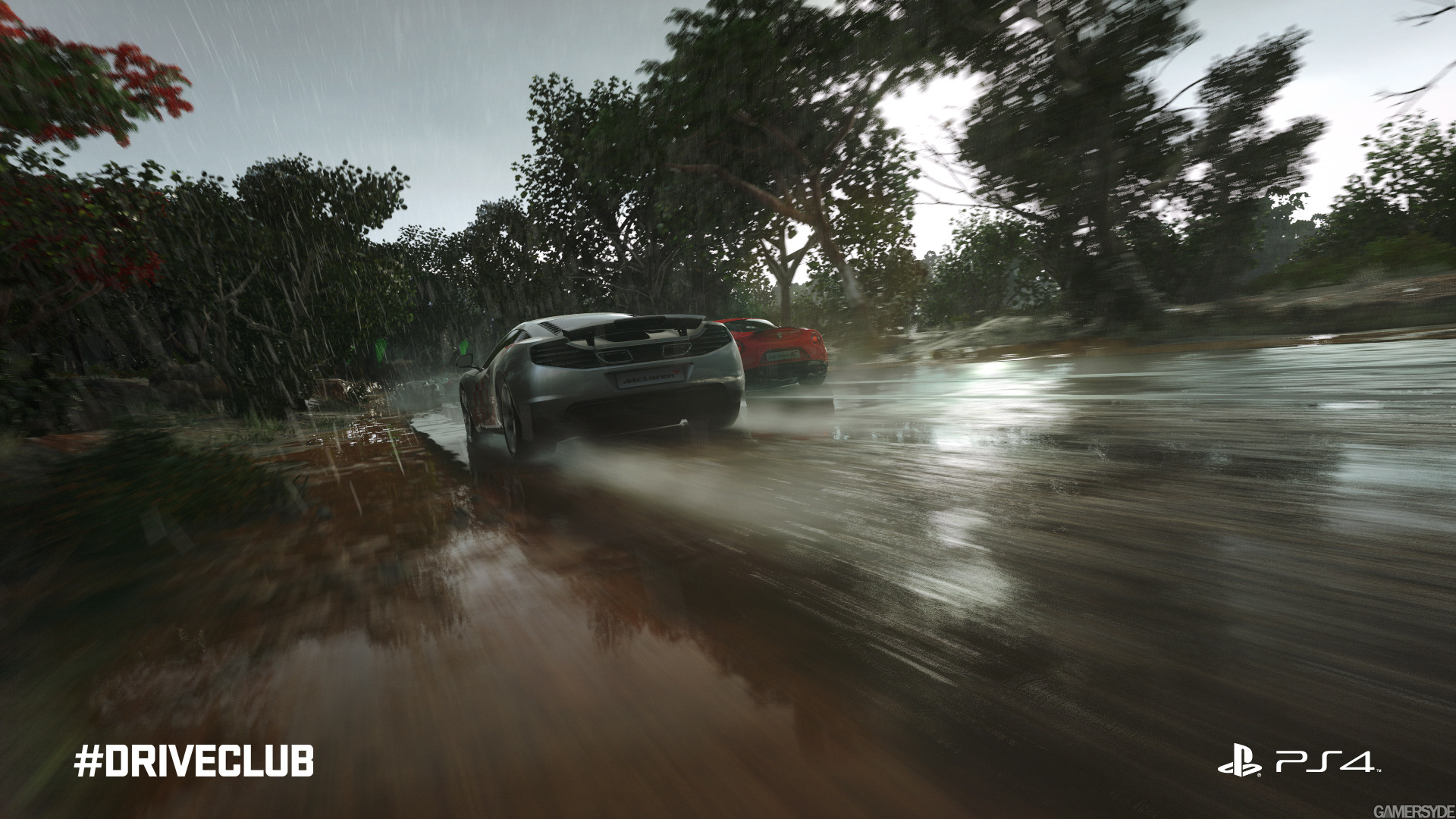 image_driveclub-25375-2662_0013.jpg