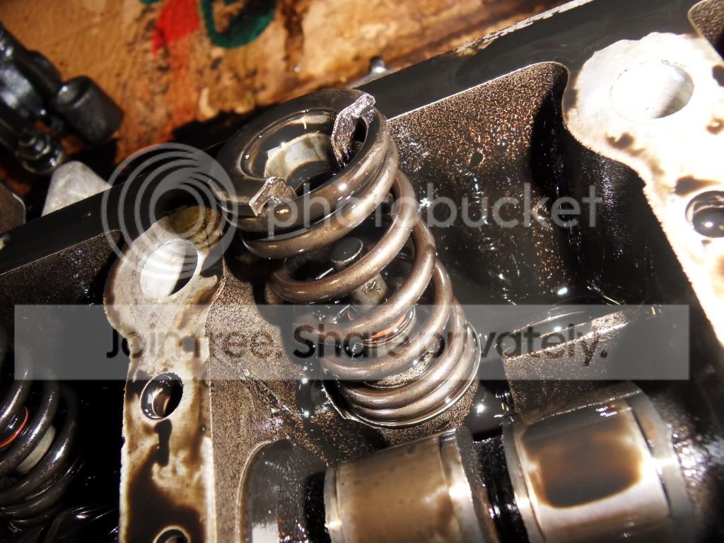 SDC11828.jpg