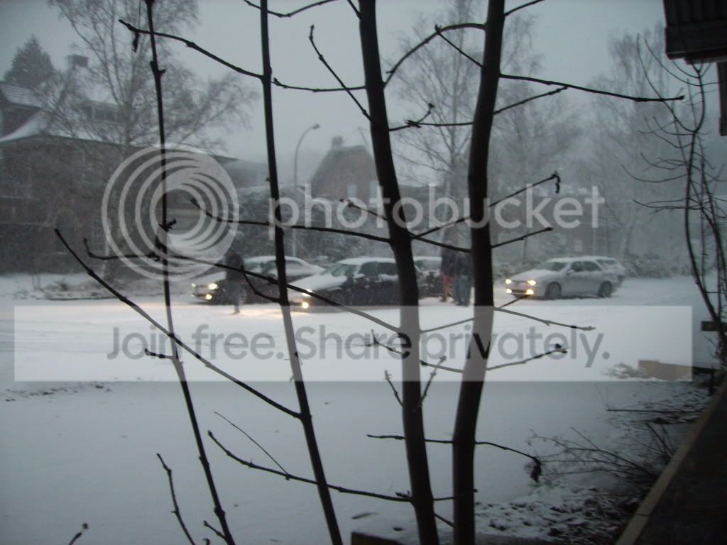 alfameeting072.jpg