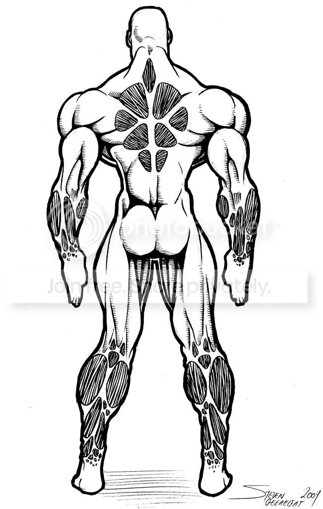 Zaosback.jpg