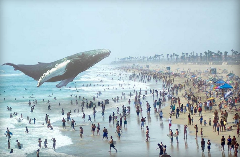 magic-leap-augmented-reality.jpg