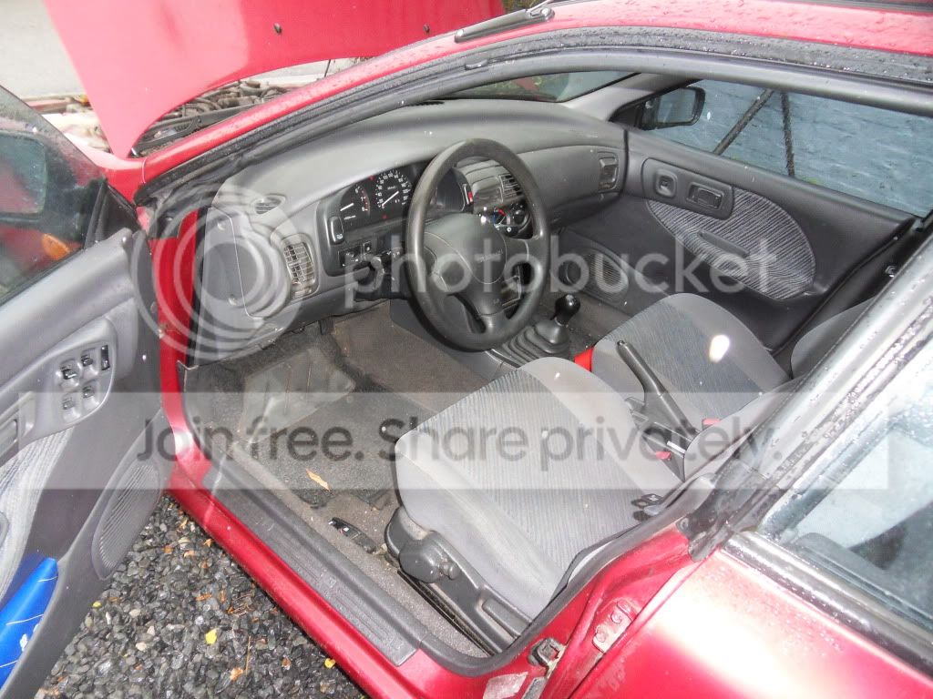 SDC12825.jpg