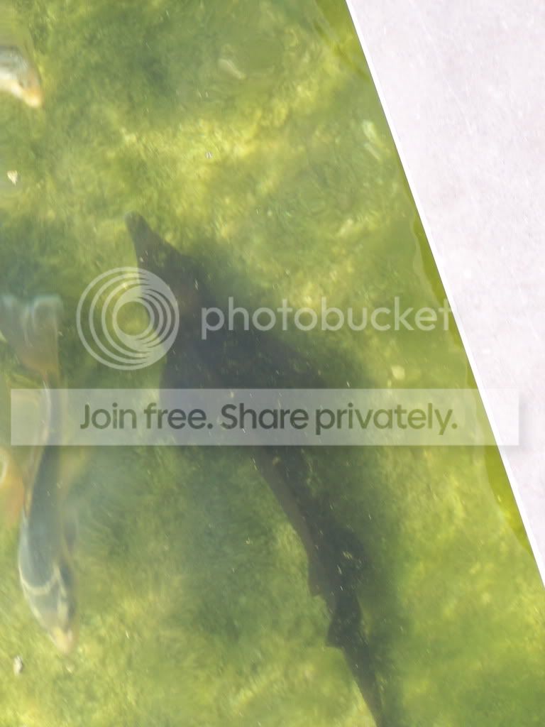 100_7395.jpg
