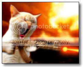 angrykitty.jpg