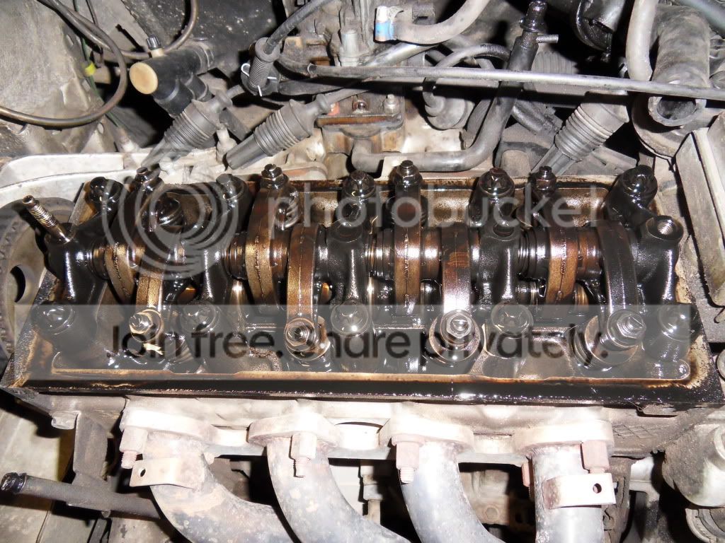 SDC11801.jpg