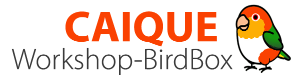 caique-workshop-logo.png