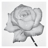 andrewpekler.bandcamp.com