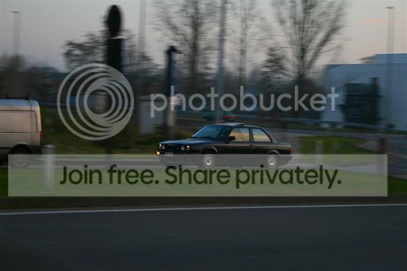 IMG_2408Medium.jpg