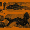 anneliesmonsere.bandcamp.com