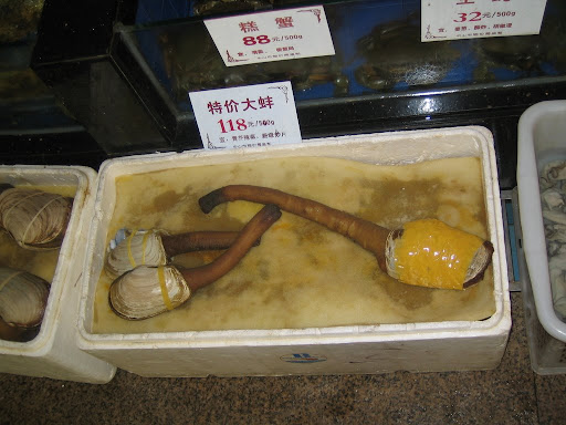 IMG_2471.JPG