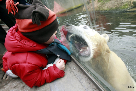 knutR0303_450x302.jpg