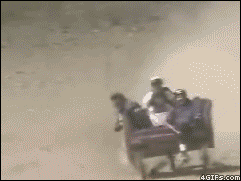 gifs_07.gif