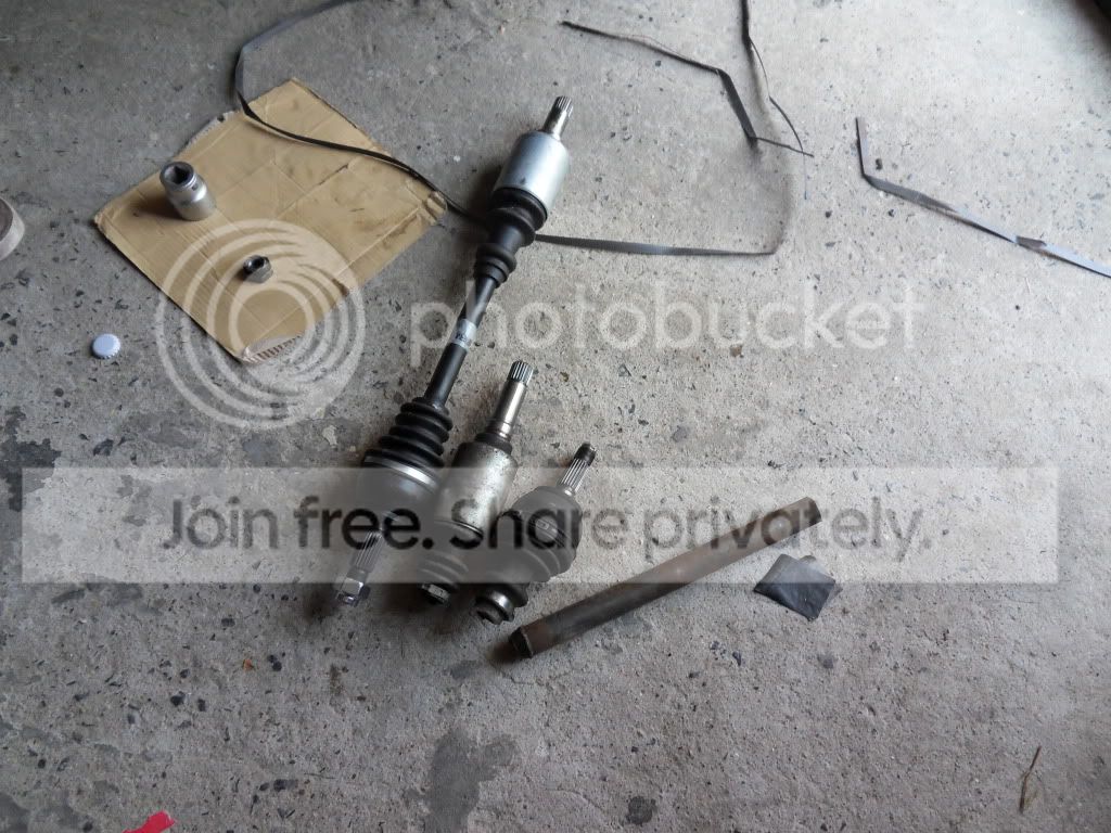 SDC12810.jpg