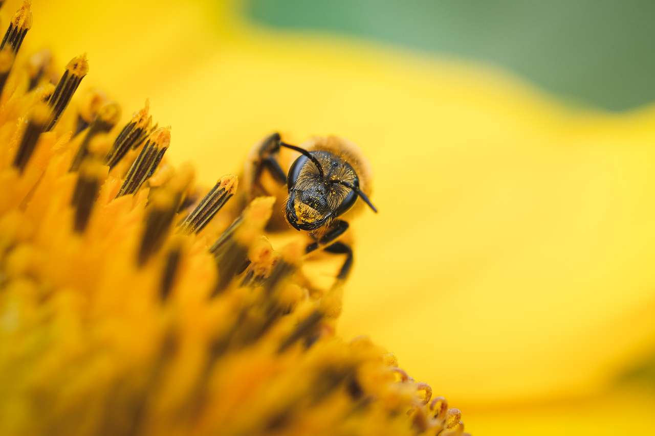 DSCF7189-X2.jpg