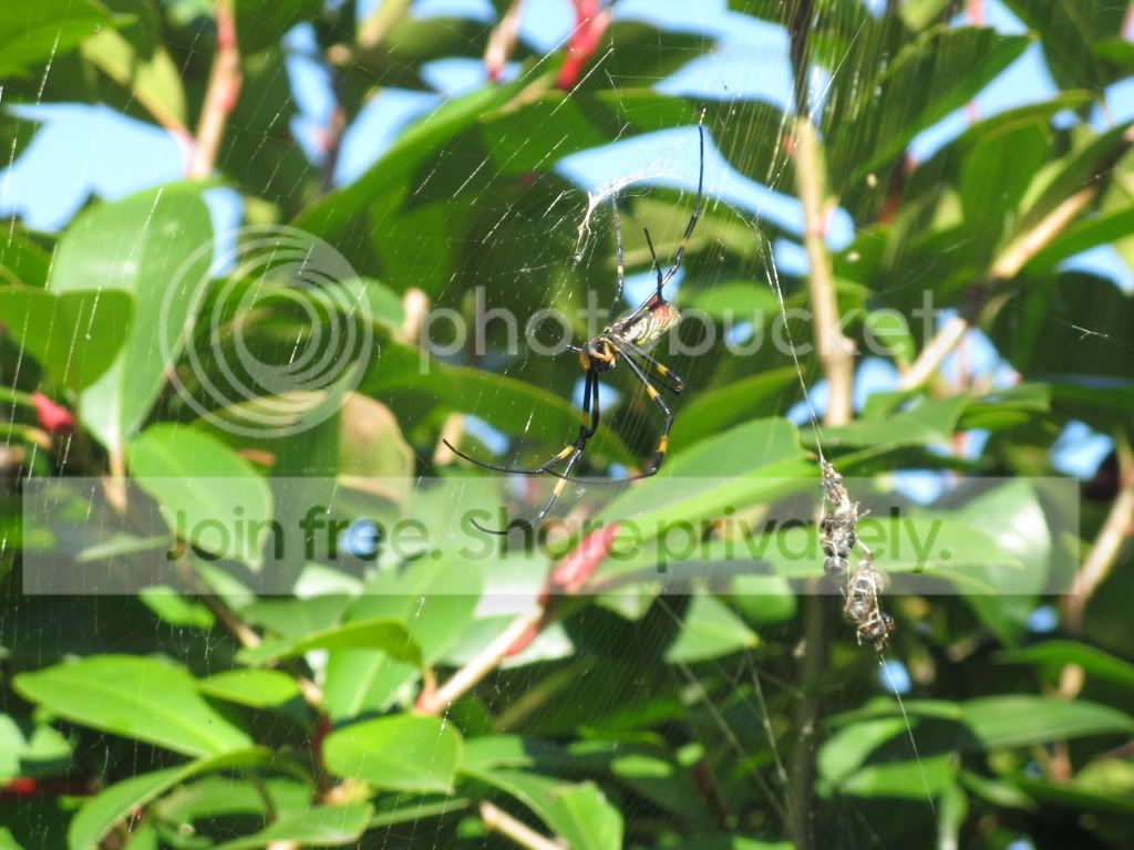 IMG_5485.jpg