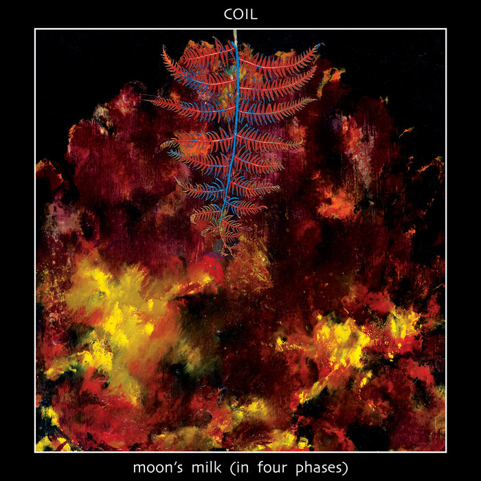 coilofficial.bandcamp.com