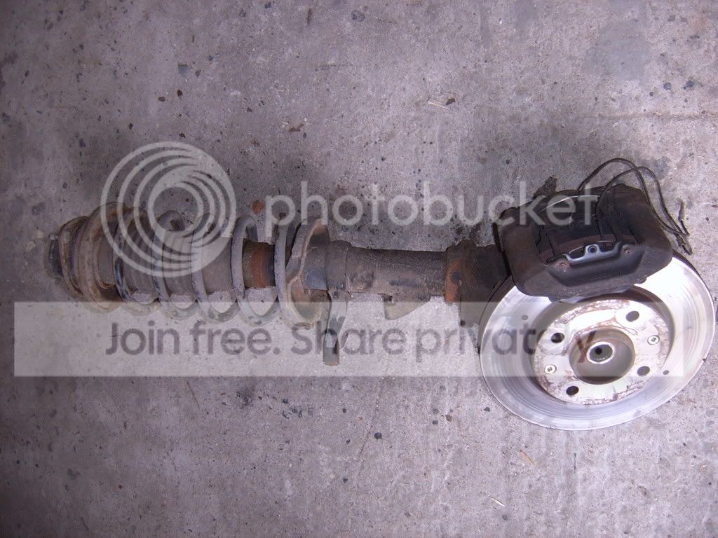 SUC51696.jpg