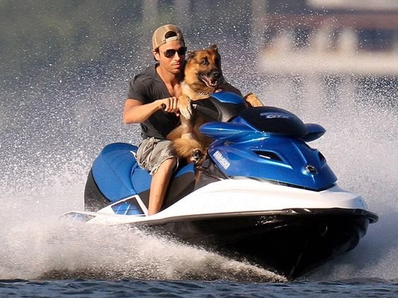 Enrique-Iglesias-with-GSD.jpg