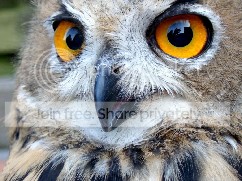 Izar_I_by_Isje.jpg