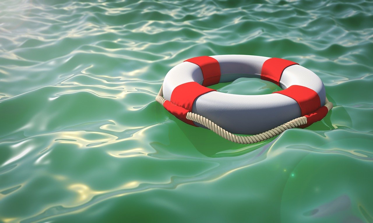 Rescue.original.jpg