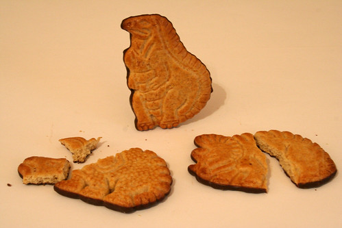 498508850_bba9b694c8.jpg