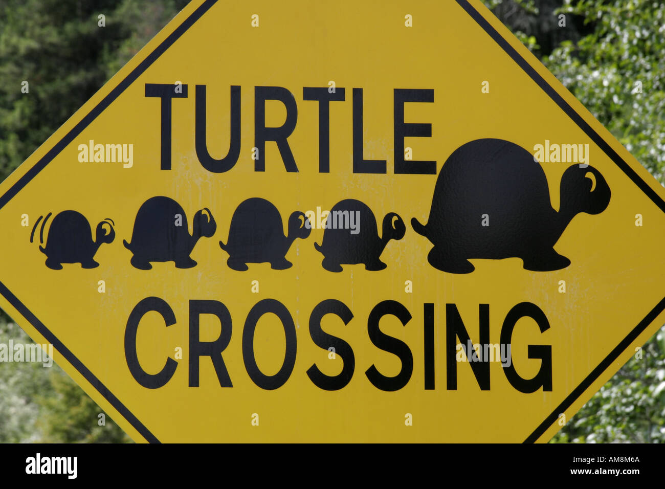turtle-crossing-road-sign-AM8M6A.jpg