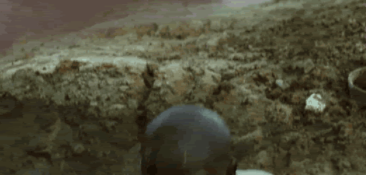 yj6dhsu6b4q1i6fnpom-2.gif