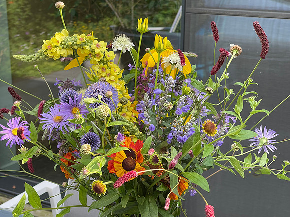 p4144676546-3.jpg