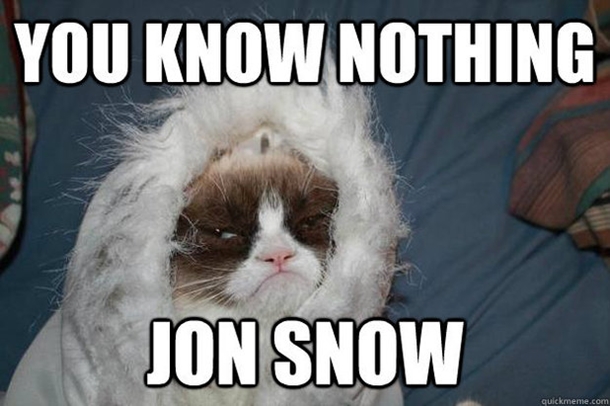 grumpy-cat-jon-snow.jpg
