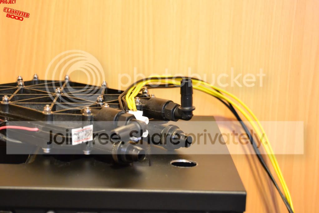 DSC_0224.jpg