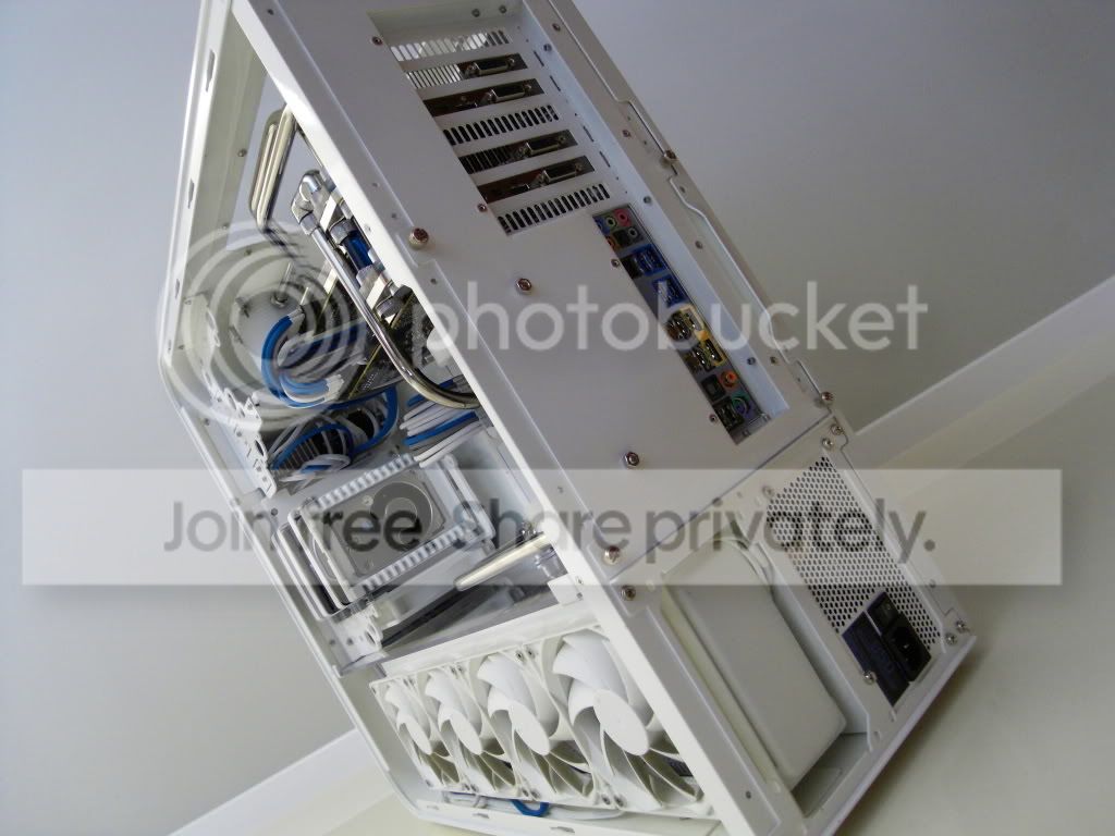 SDC10162-1.jpg