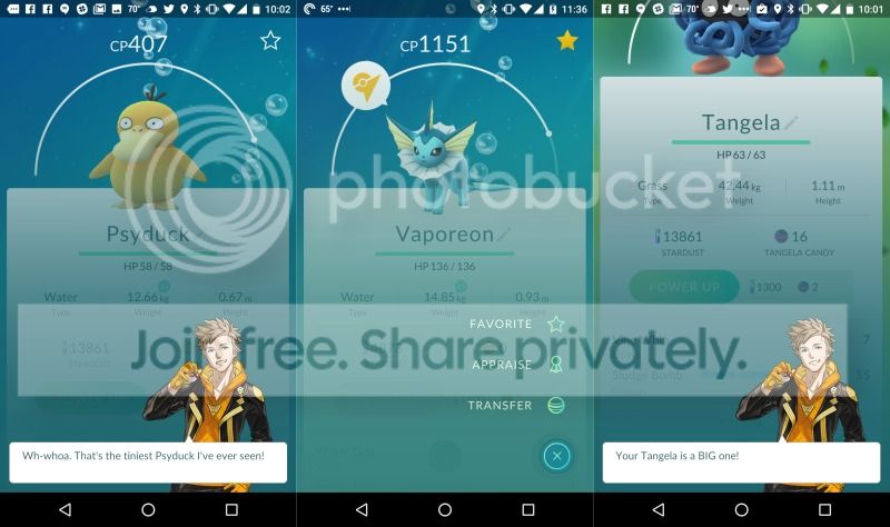 pokemongo-appraisal-rlaw_zpsnqmwtj4j.jpg