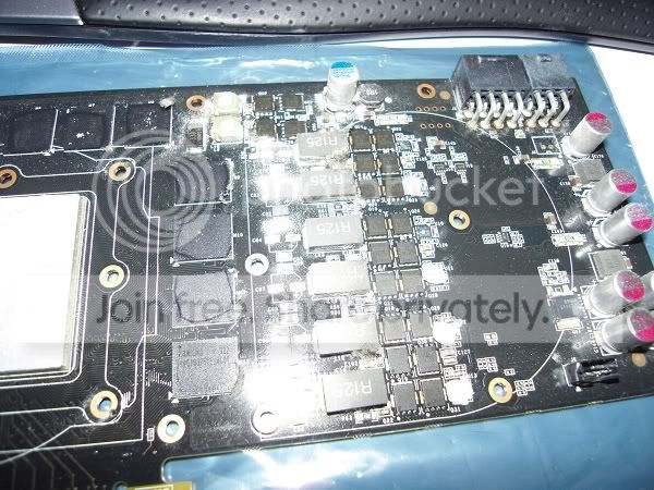 SDC10989.jpg